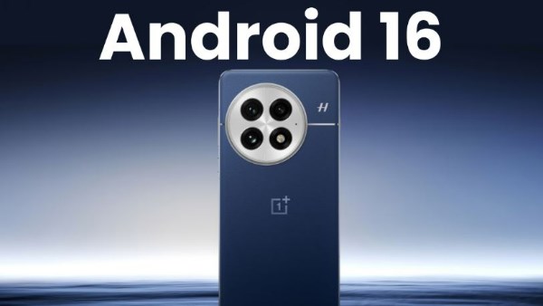 6191199579011202506100312171217