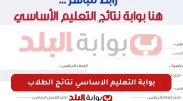 بوابة التعليم الأساسي.. نتيجة الصف الثالث والرابع والخامس والسادس الابتدائي 2025 محافظة القاهرة برقم الجلوس او بالاسم