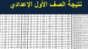 رابط مباشر.. نتيجة الصف الأول الإعدادي الترم الثاني برقم الجلوس 2025 بالاسم عبر بوابة التعليم الأساسي في المحافظات