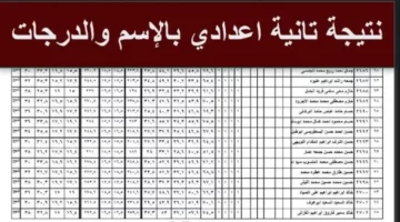 نتيجة الصف الثاني الإعدادي الترم الثاني برقم الجلوس 2025 عبر بوابة التعليم الاساسي محافظة الجيزة