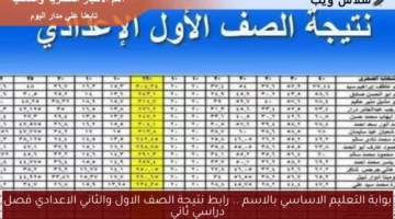بوابة التعليم الاساسي بالاسم .. رابط نتيجة الصف الاول والثاني الاعدادي فصل دراسي ثاني