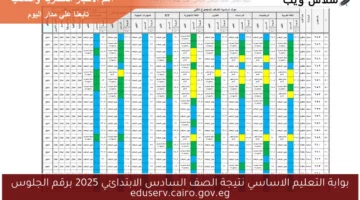 بوابة التعليم الاساسي نتيجة الصف السادس الابتدائي 2025 برقم الجلوس eduserv.cairo.gov.eg