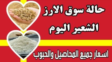 الطن بكام النهاردة ؟ .. أسعار الأرز الشعير والأبيض اليوم الثلاثاء 10 يونيو 2025 في الأسواق