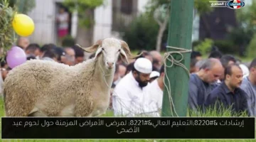 إرشادات “التعليم العالي” لمرضى الأمراض المزمنة حول لحوم عيد الأضحى