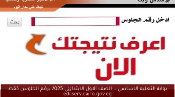 بوابة التعليم الاساسي .. نتيجة الصف الاول الابتدائي 2025 برقم الجلوس فقط eduserv.cairo.gov.eg