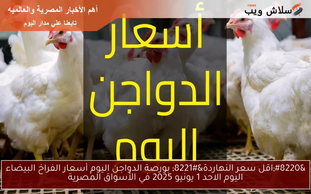 بورصة الدواجن اليوم أسعار الفراخ البيضاء اليوم.webp