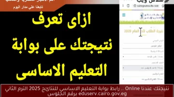 نتيجتك عندنا Online .. رابط بوابة التعليم الاساسي للنتائج 2025 الترم الثاني eduserv.cairo.gov.eg برقم الجلوس