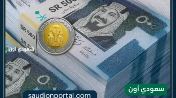 تحديث لحظي أسعار الريال السعودي في السوق السوداء اليوم مقابل الجنيه المصري في البنوك الأحد 8 يونيو 2025