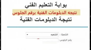التعليم تحدد موعد صدور نتائج الشهادات الفنية للدور الأول 2025