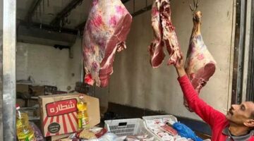 أسعار اللحوم اليوم في محلات الجزارة