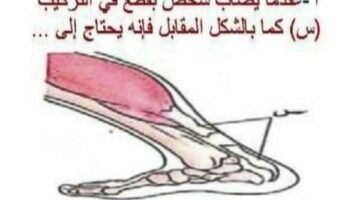 مراجعة ليلة امتحان الأحياء في 17 ورقة لـ الثانوية العامة 2025