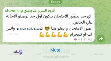 جروبات الغش تهدد نزاهة التعليم والثانوية العامة تحتاج إلى تأمين معلوماتي