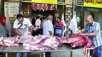 استقرار أسعار اللحوم البلدية والمستوردة في الأسواق المصرية اليوم الثلاثاء 8 يوليو 2025