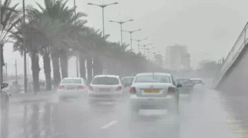 تنبيه جميع الأحياء للتدخل السريع عند الضرورة لمنع الأزمات