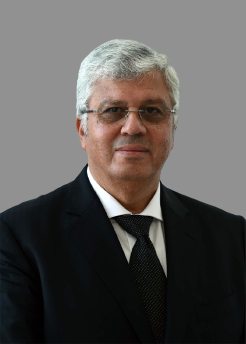 السيد الدكتور محمد أيمن أحمد عاشور