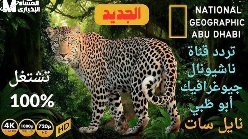 تردد قناة ناشيونال جيوغرافيك 2024 على النايل سات