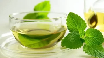 حصريًا تعرف على فوائد النعناع للجسم وكيف يساعد في التخلص من حموضة المعدة