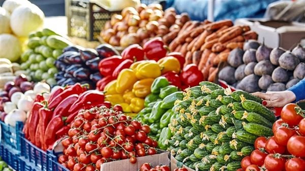 أسعار الخضروات اليوم السبت 20 ديسمبر 2025 في سوق العبور: الطماطم، البطاطس، البصل والكوسة بأحدث تحديث رسمي
