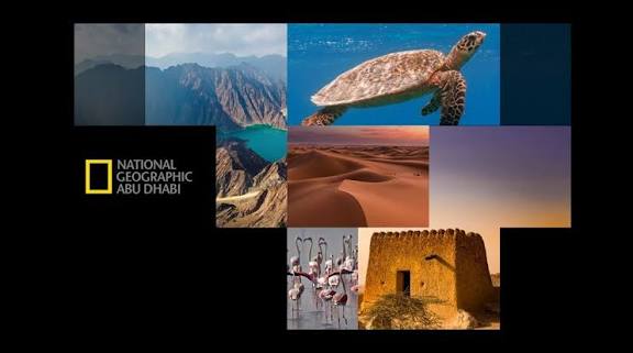 ثبت الآن واستمتع بأقوى برامج الوثائقيات National Geographic Abu Dhabi.. خطوات تنزيل تردد قناة ناشيونال جيوغرافيك أبوظبي الجديد 2025 على نايل سات وعرب سات