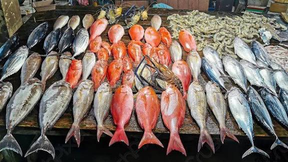 سعر السمك والجمبري في سوق العبور اليوم الأحد 21 ديسمبر 2025 في مصر – تحديث شامل لكل الأنواع من البلطي إلى الجمبري والماكريل والسبيط والكابوريا