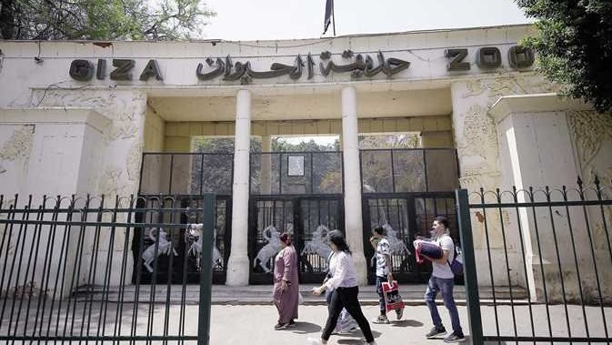 هل حديقة الحيوان بالجيزة مفتوحة الآن وما هي أسعار تذاكر حديقة حيوان الجيزة بعد دمج حديقة الأورمان؟