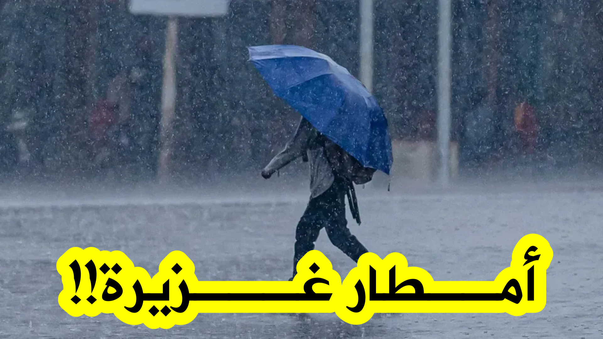 أمطار رعدية غزيرة تضرب الجزائر اليوم.. كميات تصل إلى 40 ملم وتحذيرات عاجلة لسكان أكثر من 15 ولاية حتى صباح الأربعاء