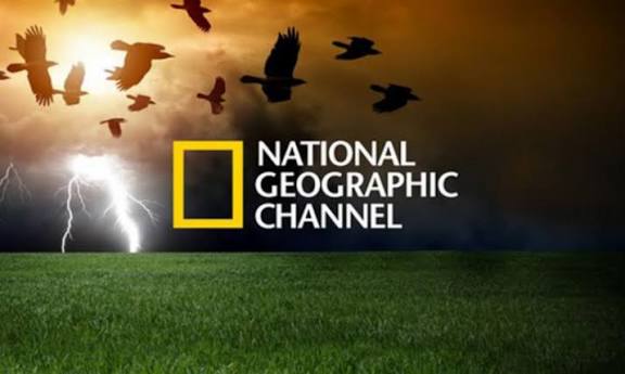 تردد قناة ناشيونال جيوغرافيك 2026 على نايل سات وعرب سات بجودة HD وSD | دليلك الشامل لأقوى الأفلام الوثائقية والمغامرات - جريدة