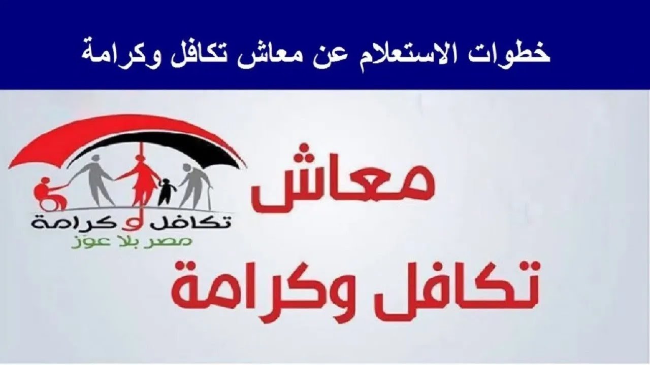 رابط وخطوات الاستعلام عن معاش تكافل وكرامة بالرقم القومي 2026.. تحديث البيانات لتجنب وقف الصرف