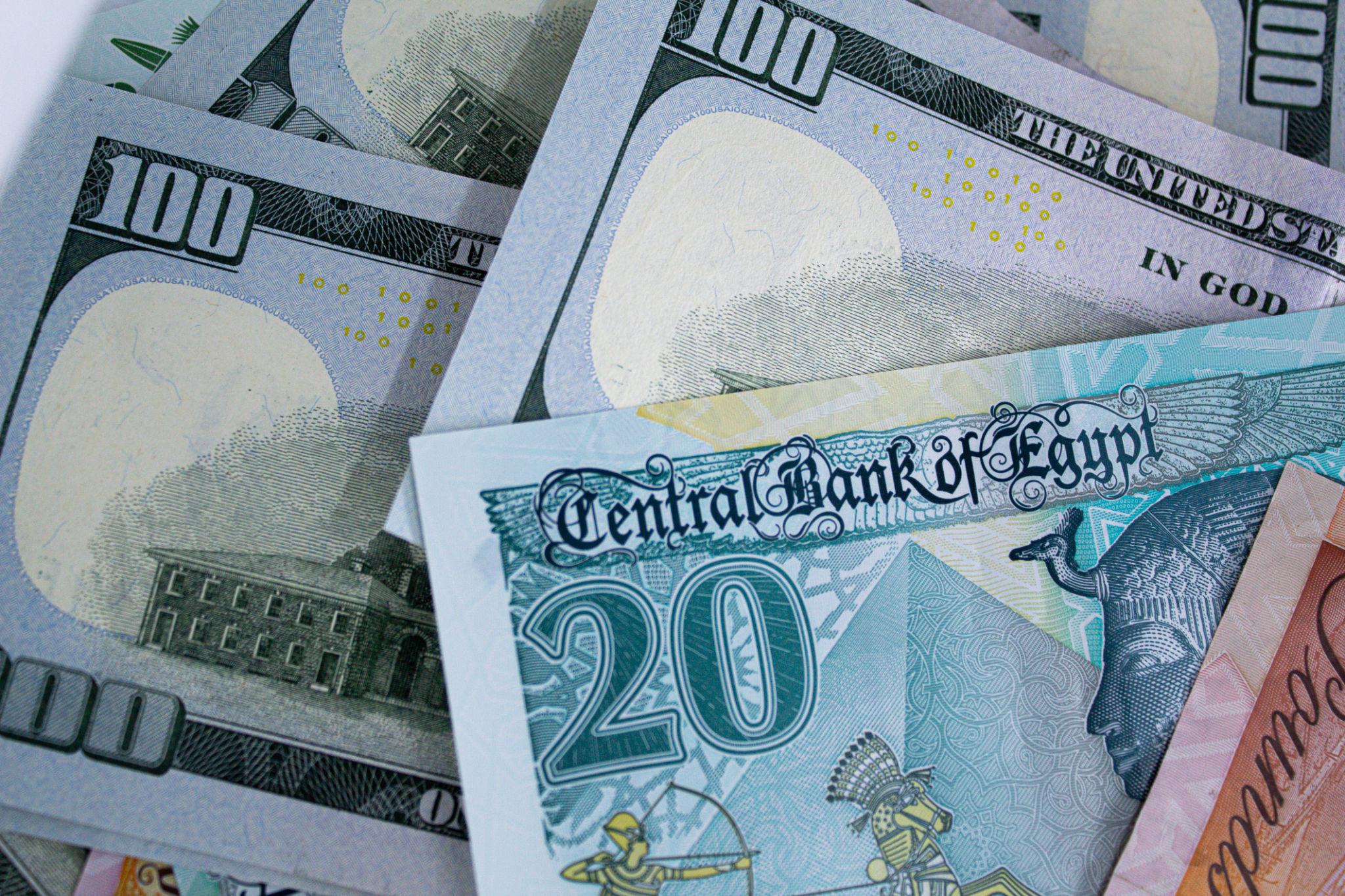 قفزة جديدة في البنوك قبل رمضان.. سعر الدولار اليوم الجمعة 20 فبراير 2026 بعد الارتفاع الأخير – الأخضر يكسر مستويات جديدة رسميًا