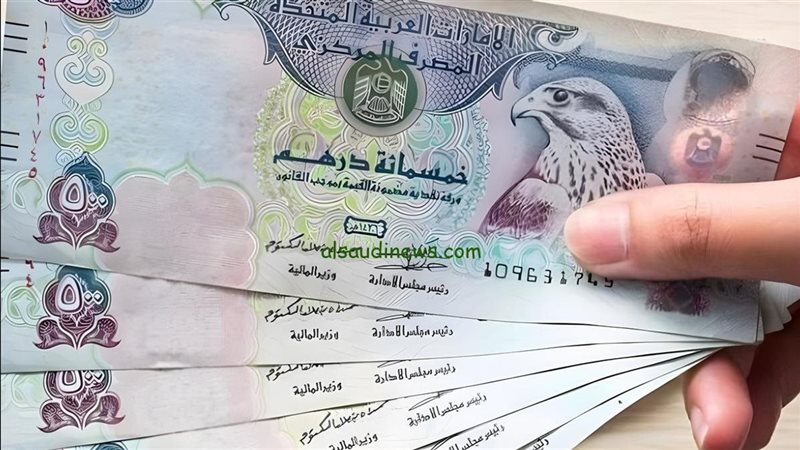 استقرار سعر الدرهم الإماراتي اليوم الثلاثاء 14 أبريل 2026 في البنوك المصرية.. تعرف على أحدث أسعار الشراء والبيع في البنك المركزي والبنك الأهلي وبنك مصر وكريدي أجريكول