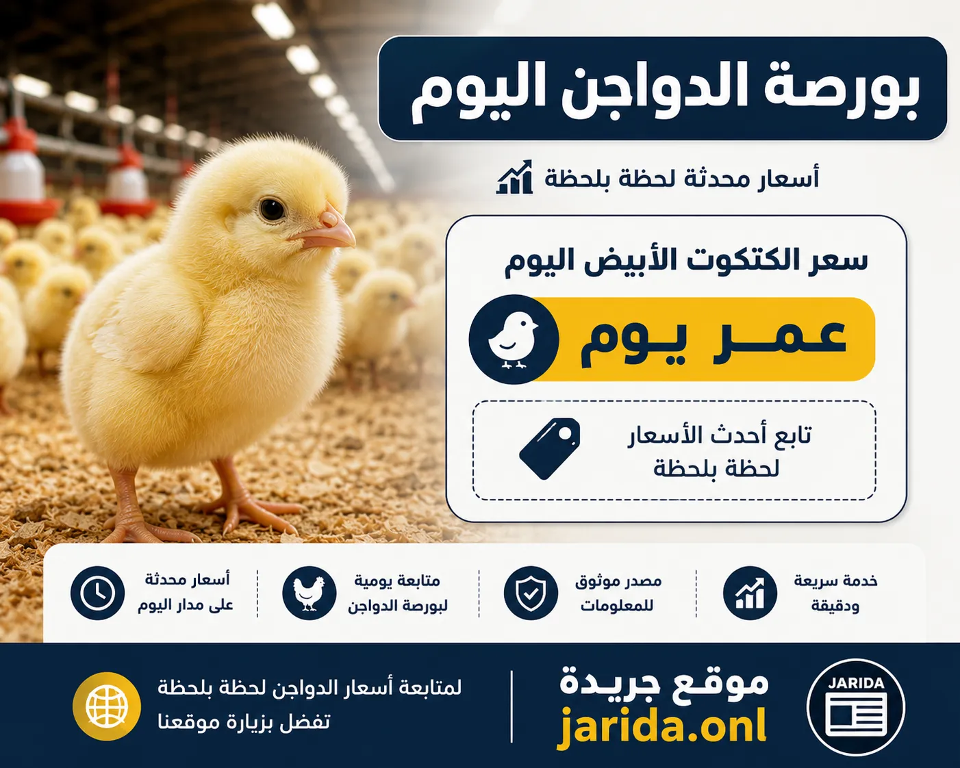 أسعار الكتاكيت والبط اليوم الخميس 14 مايو 2026 في بورصة الدواجن والشركات.. تباين جديد في سعر الكتكوت الأبيض واستقرار نسبي في أسعار البط بالأسواق المصرية